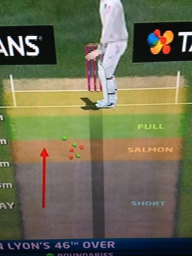 JamesBoyce8's tweet photo. @WWOS9 Nathan Lyon hitting a salmon length earlier today #WWOS http://t.co/KzY30mpypq
