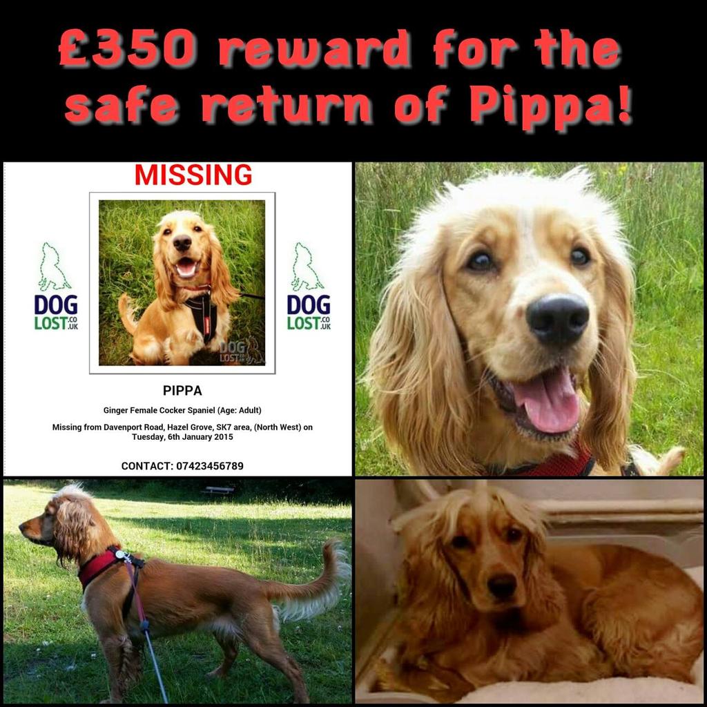 FindPippa's tweet image. @Stockport_Ads @StockportMBC @stockportnews @MENnewsdesk @mdavisMEN please follow and RT