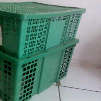 GDM_Gresik's tweet photo. Keranjang buah |minat pm 081357432370 http://t.co/MuWZOgFOtW