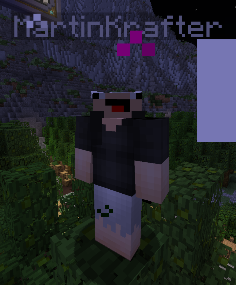 Brandon Best Minecraft Skin 15 Lol Http T Co 4izmm1m6zz Brandon Best Minecraft Skin 15 Lol Http T Co 4izmm1m6zz