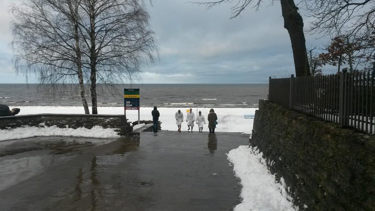 Ilona Bičevska tweet media