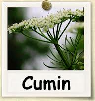 markteutsch's tweet image. cumin reported to improve cognition and mood #longvida ncbi.nlm.nih.gov/pubmed/25277322
now how about my eyesight?