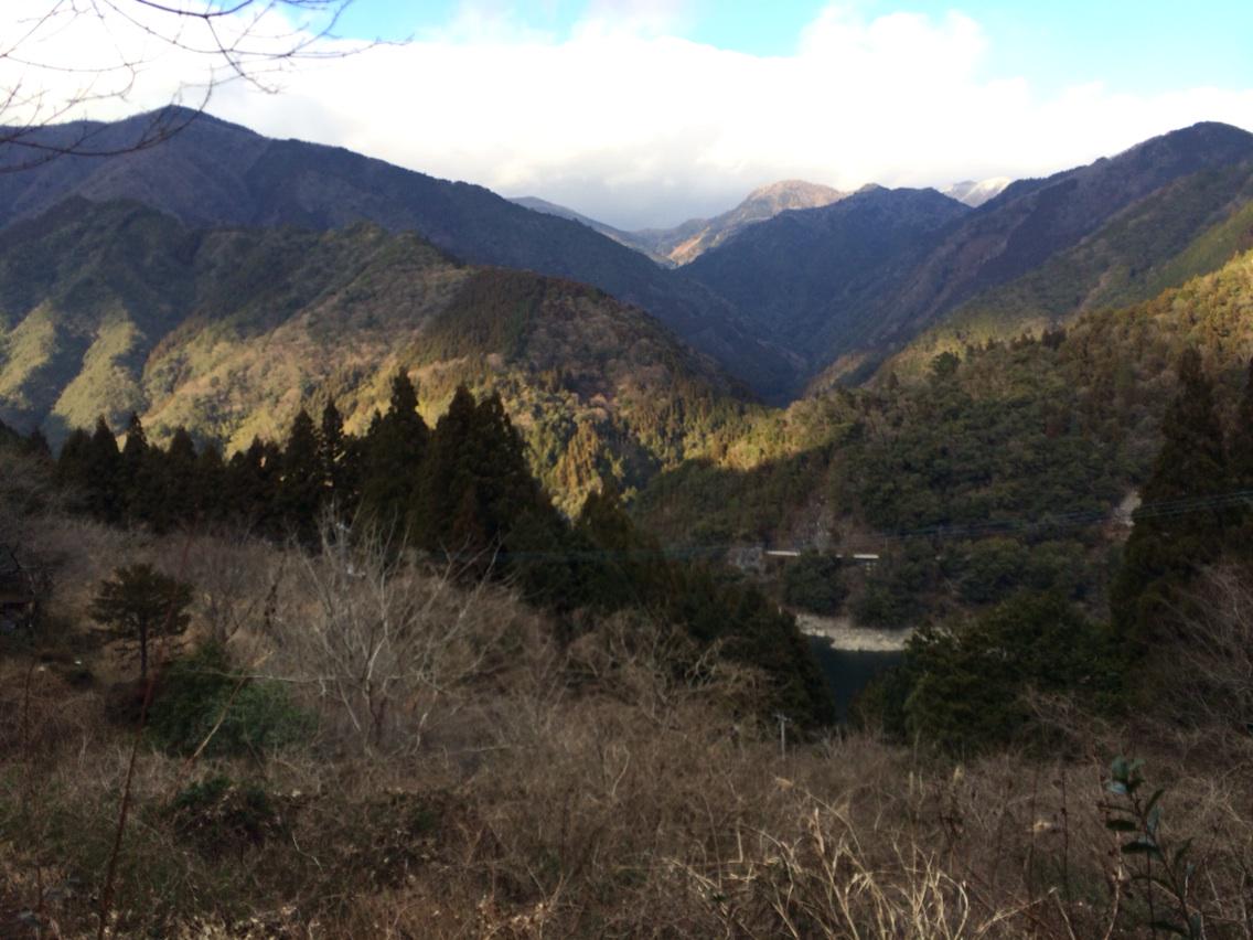 最終お値下げ‼️ロートレック「田舎への行楽」 あーこれこれ🏔️🌲🐐🌲🏔️