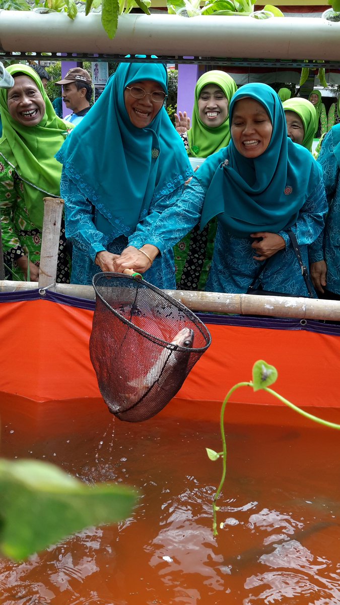 Elis_PKK's tweet photo. Ibu ket pkk @NurAzizahTamhid panen ikan patin dn lele di lokasi Hatinya PKK rw 19 sukatani  @Nur_Mahmudi @humasdepok http://t.co/hG9Wn0157x