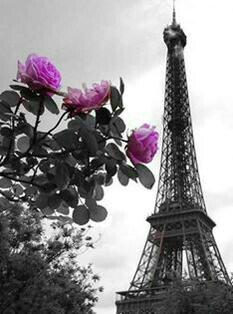 simococ123443's tweet image. ,One day less to live!But every sunrise give us,!So, hope for the best.Good Day &amp;amp; Good Luck!And Good Morning