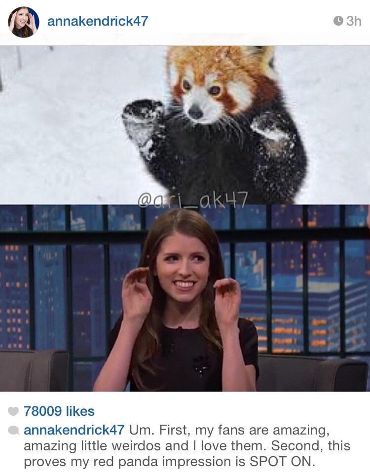 a_morgan3's tweet photo. .@RedPandaNetwork check out @AnnaKendrick47 's Instagram! http://t.co/KLns4gWHbl