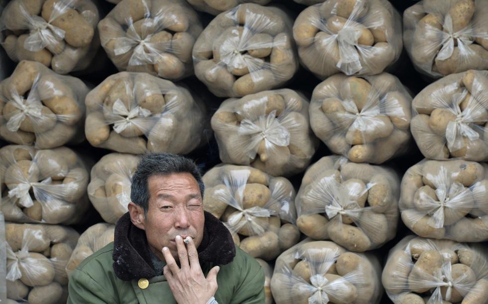 China to grow more potatoes amid struggle to feed world’s most populous nation scmp.com/news/china/art…