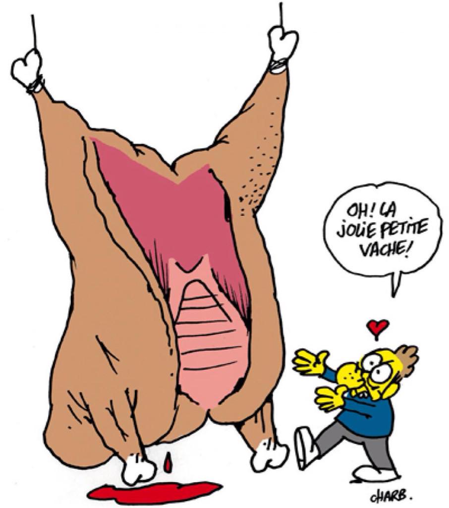 FBB_Officiel's tweet photo. Dimanche, de nombreux défenseurs des animaux et de la liberté défileront à Paris pour dire MERCI ! Le combat continue http://t.co/CoGyooqo4h