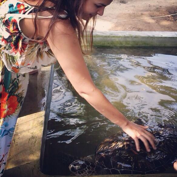 Turtle tickles.. #srilanka #travel #adventure #turtle