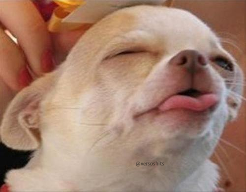 versoshits's tweet photo. Yo cuando me acarician la espalda. http://t.co/XfQujPwBR4