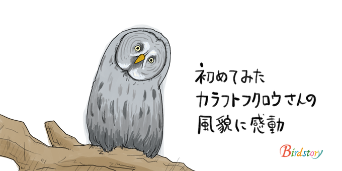カラフトフクロウのtwitterイラスト検索結果 古い順