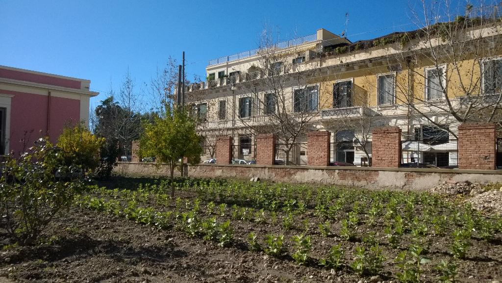 RT @diaricaponata Un bell'orto cittadino in pieno centro storico a #Siracusa @SlowFood @LimoneSiracusa #food #Sicilia