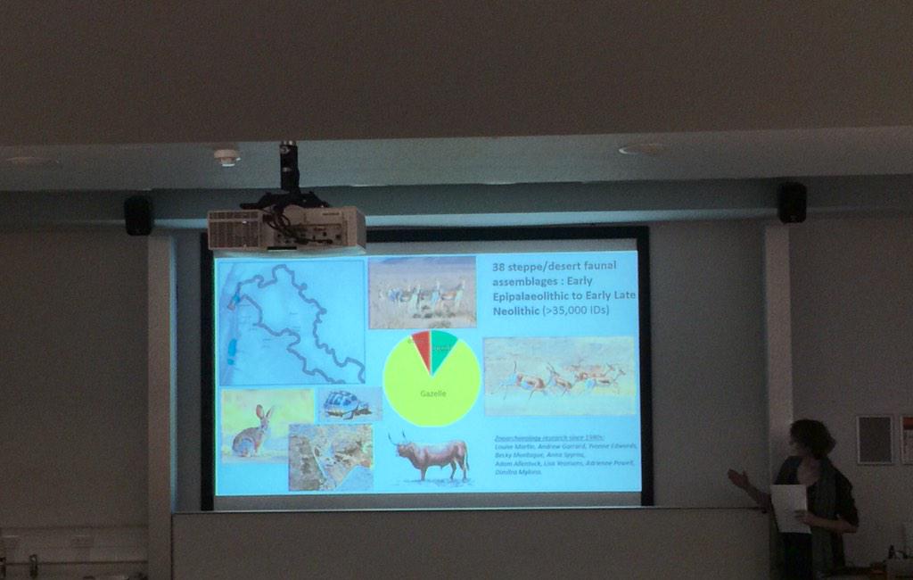Louise Martin from UCL IoA giving a talk on modelling prehistoric wildlife dynamics in Jordan, at #BANEA2015