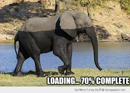 SpringbokLodge tweet picture
