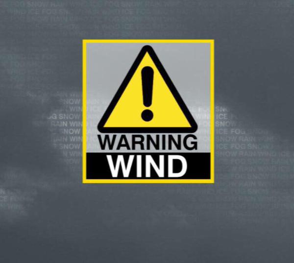 Barra Best tweet media