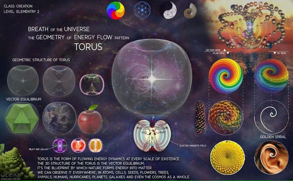 nocturnalpsyche's tweet photo. #FibonacciFriday #UniversalPattern #GoldenRatio πππ http://t.co/TjhQADAki6