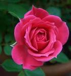 76313e22b6bb4e2's tweet photo. Good evening my twitter world @idevadhikari http://t.co/w0ywPEKcwL