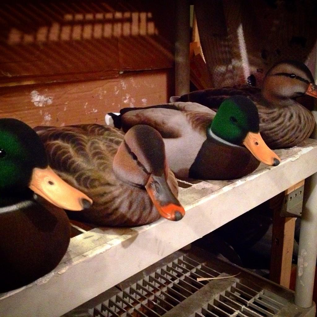 MintzDecoys's tweet photo. We produce the most durable, realistic, and effective decoys on the market! http://t.co/bM4lL7izMQ #mintzdecoys http://t.co/M6GilkYy8i