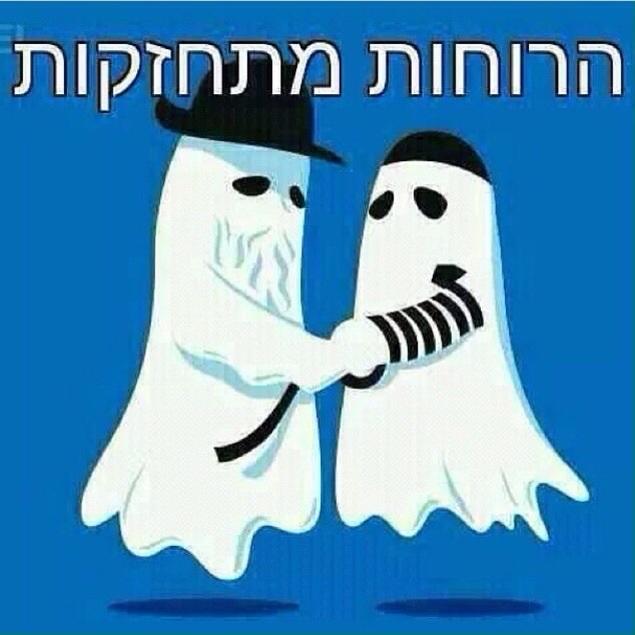 shirel81 tweet picture