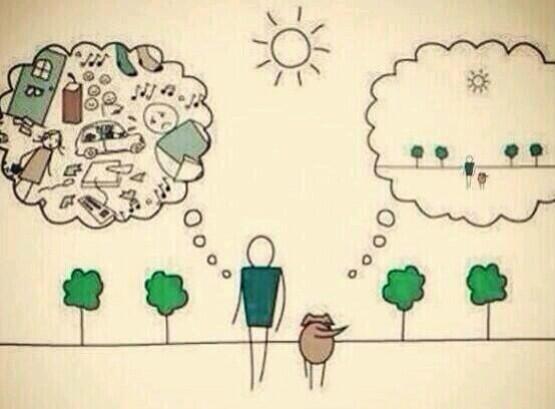 _Paisajes_'s tweet photo. El por que de que tu perro sea más feliz que tu. http://t.co/HQWO4sezix