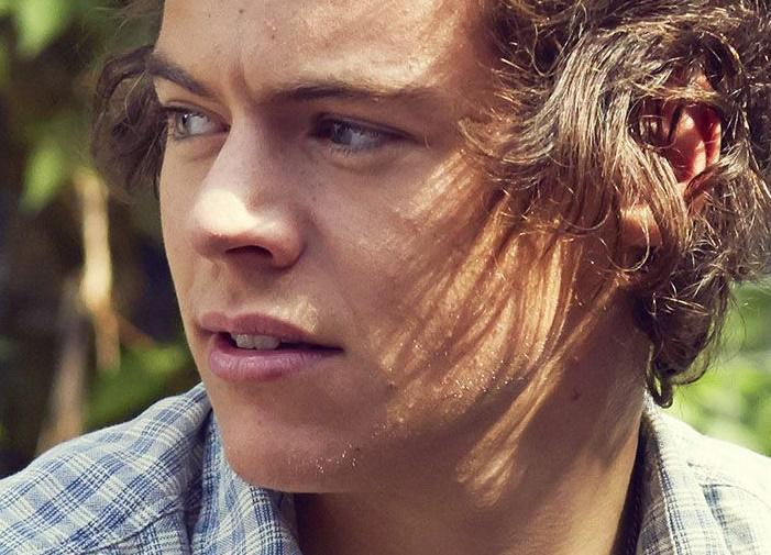 hollyluvnharry's tweet image. #ILoveOneDirection #onedirection #HarryStyles #Liampayne #louistomlinson #NiallHoran #zaynmalik #Directioners #1d