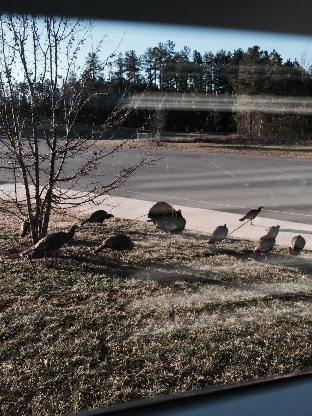 Jena Horm tweet media