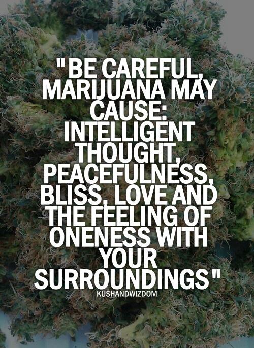 ConniseurRaw's tweet photo. Caution #weed #quote #weedquote http://t.co/gpgrBxJ8W9