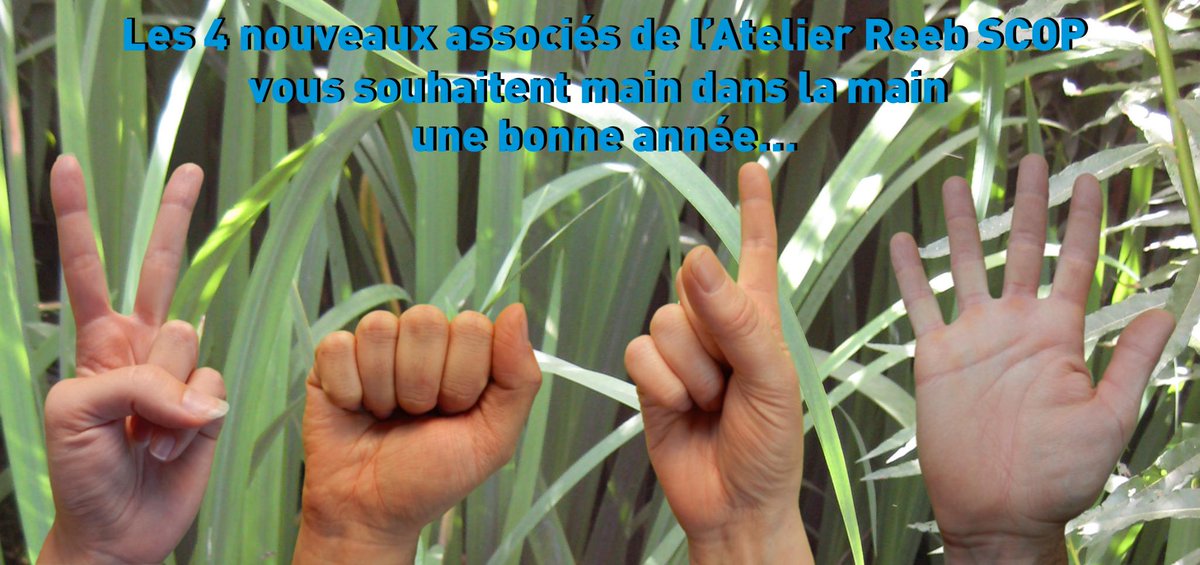 Atelier Reeb tweet media