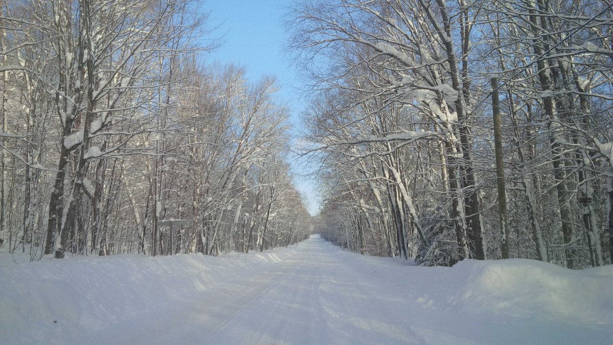 MuskokaCoach18's tweet photo. Finally a reprieve, Sun is shining for now #Muskoka #SouthPortage #LakeofBays #catchabreath http://t.co/rK2ioYCDsg