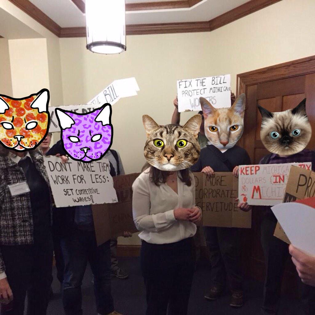 fordiecatsofipe's tweet photo. #IPE2015 http://t.co/nwguwGTrNC