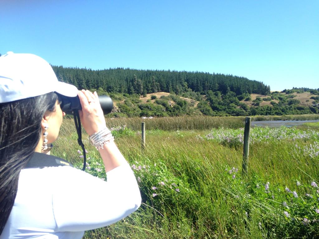 Seremi M.A. Maule tweet media