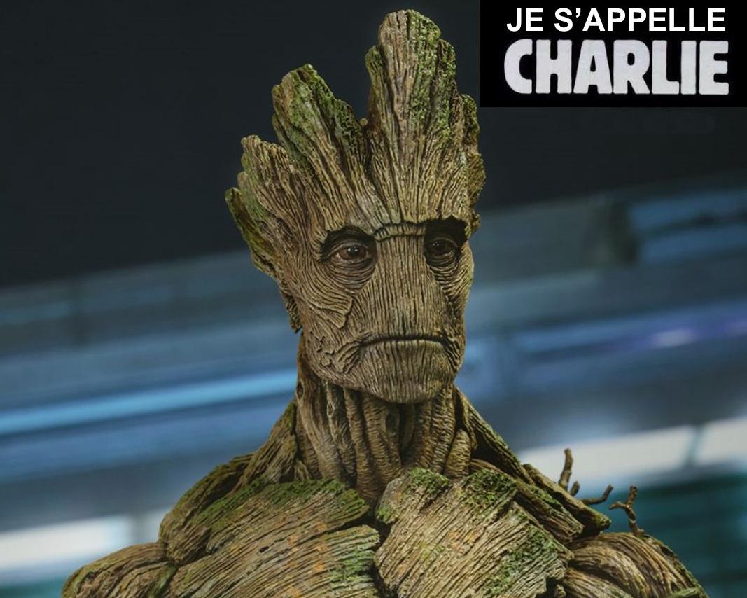 tsrr's tweet image. #JeSuisCharlie GrootStyle (merci à mon fils pour l'idée)