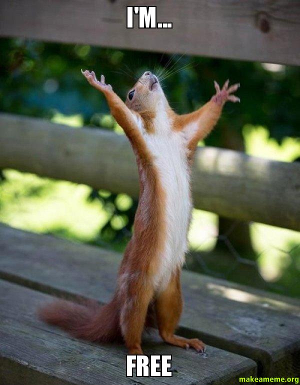 ninja_poogey's tweet photo. @MrDoubleD_ @ProblemsAtUni but then after I was like... #dobbyisafreeelf #iquittobecomeanalcoholic http://t.co/59X0h3F5ly