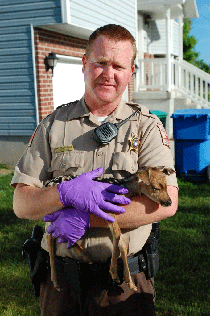 UtahDWR's tweet photo. Thanks to our conservation officers who work hard to protect Utah's wildlife! #NationalLawEnforcementAppreciationDay http://t.co/wT16grfaxu