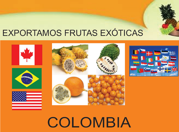 Exportamos frutas tropicales, busco agentes y distribuidores distintos paises info en comercial@countryfruits.com.co