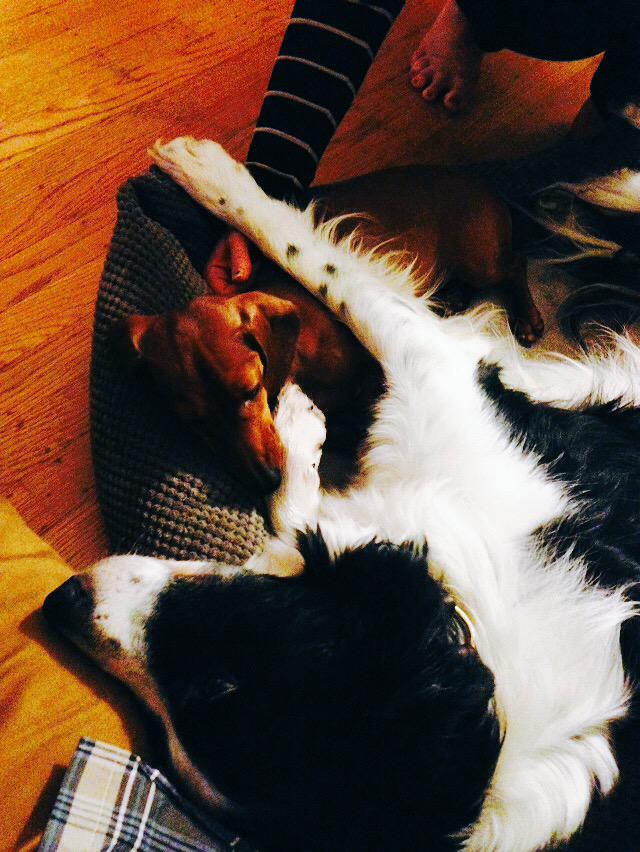 ScratchOpenMic tweet media