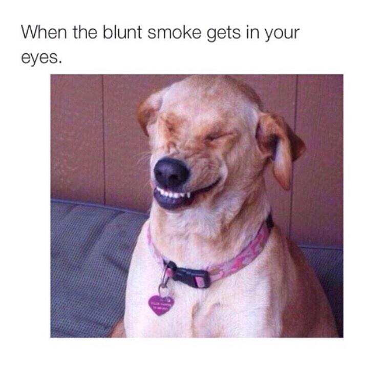 baby_grows's tweet photo. Retweet if this has been you 😂😂 http://t.co/EzbgohmLC8