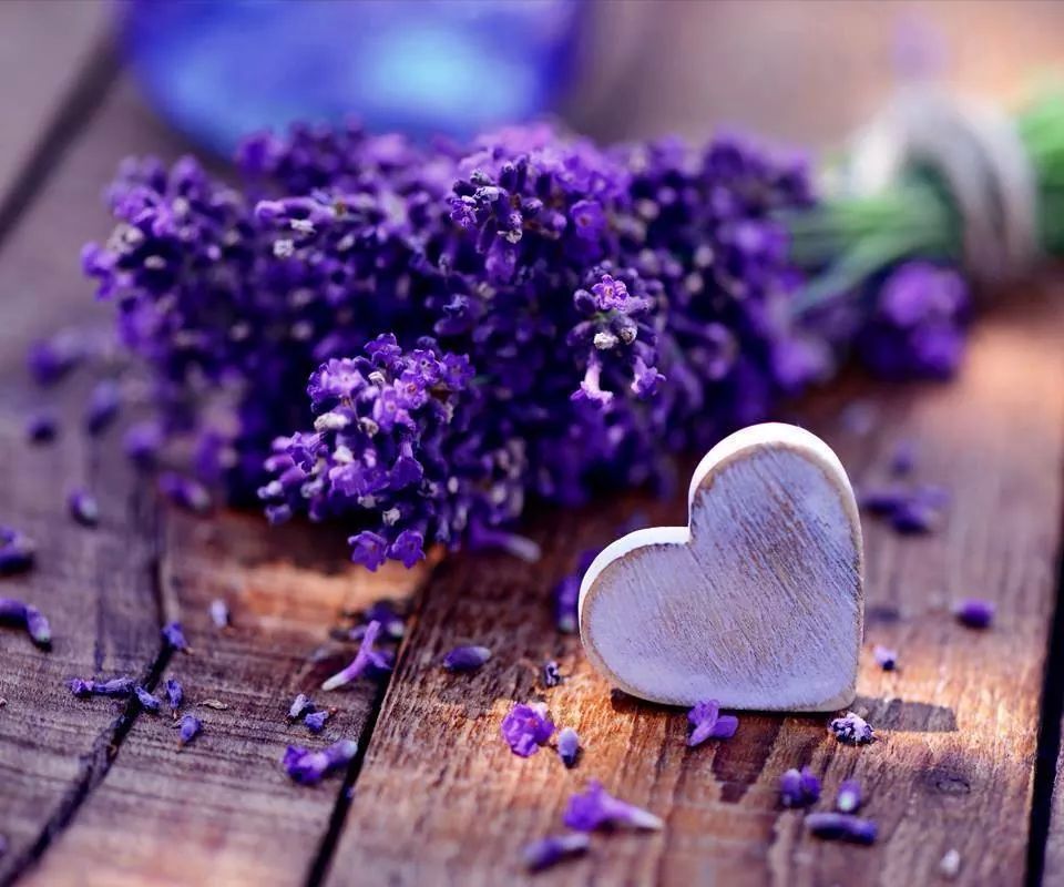 malsumait's tweet photo. "@MyFollowTweetss: #RETWEET @malsumait @lola_clau @laercioSoficial @wpkofficial @Siga_Gatito @ChrisRota1 @MARARENASS http://t.co/PDDYP60SVz