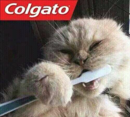 DTestardi's tweet photo. http://t.co/oKV2xq2iWX