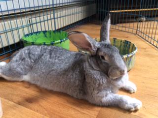RoccoDutch's tweet photo. Relaxing on a Friday afternoon http://t.co/sDovDVM5lN
