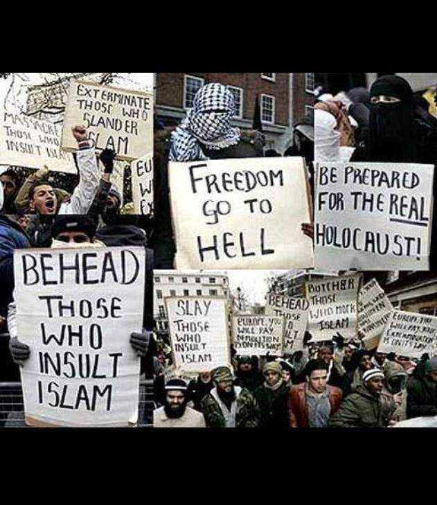 RyanReynolds10's tweet photo. @HJEgan94 Remember Harry, Islam is a peaceful religion! #whatabunchofcunts http://t.co/w7IlCKa66T