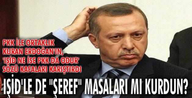 AlQaedaSupporter Erdogan