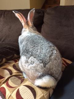 RoccoDutch's tweet photo. I turn my back on your insulting comment. You don't exist. http://t.co/gBDHK7JCoe