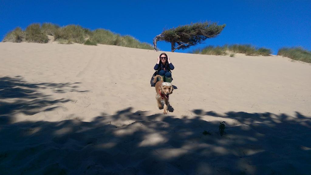 FindPippa's tweet image. When we #FindPippa this is what she will do