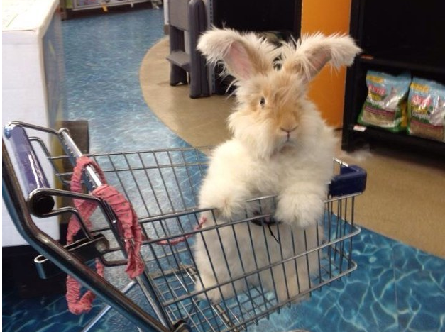 BuzzFeed's tweet photo. what you feel like by the end of the week http://t.co/SAj7Lwv8zl