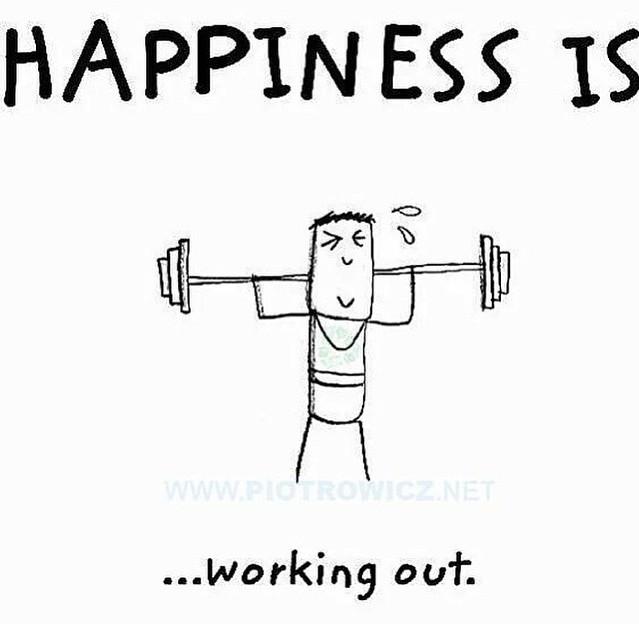 SearchGym tweet picture