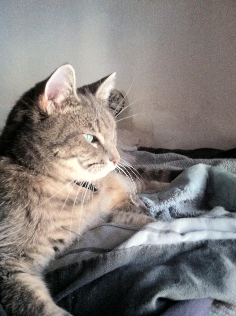 Disengaged664's tweet image. 