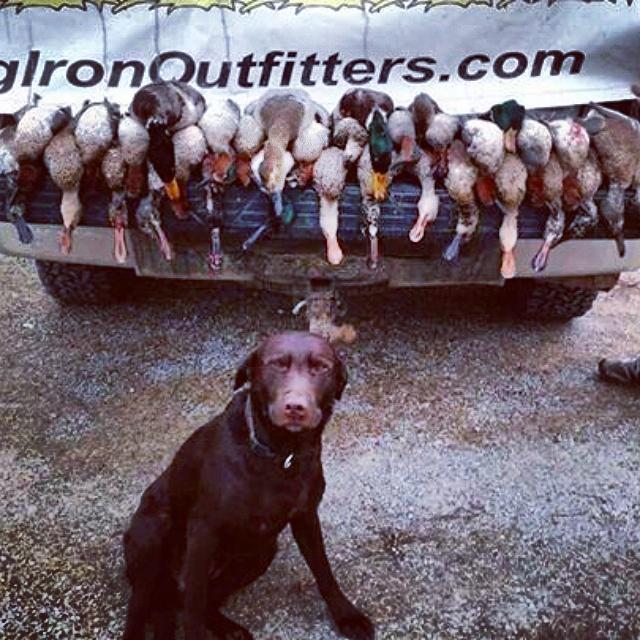 LegIron11's tweet image. legironoutfitters.com
#duckhunting #legironoutfitters