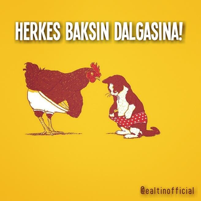 M1LASDAD's tweet photo. Herkes baksın dalgasına! 😎😁🐔😹
#bak #dalgana #büyümüş #mü #tavuk #kedi #ealtinofficial #mizah #cat #chicken #look http://t.co/evgkkCTYjt