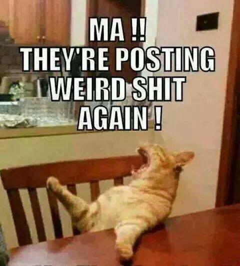 drive_express's tweet image. 